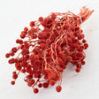 Sago, Dried, Red