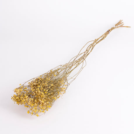 Image shows Dried Gypsophila bunch with yellow flowers.  This is a 5 stem bunch