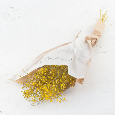 Gypsophila, Dried, Yellow, 5 Stem Bunch