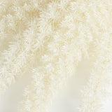 Foxtail Fern, (Verdissimo), Preserved, White