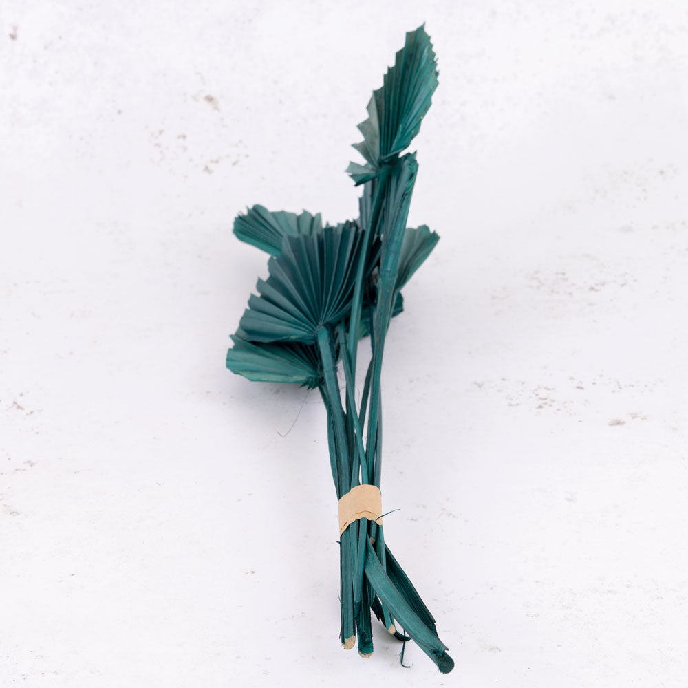 Palm Spear, Teal, Bunch x 10 Stems