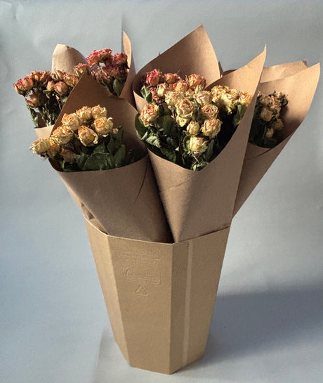 Roses, Spray, Dried, Bucket Mix, 12 Bunches