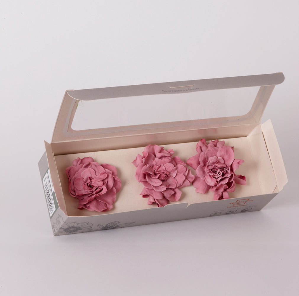 Gardenia Heads (Verdissimo), Preserved, Cherry Blossom, Box x 3