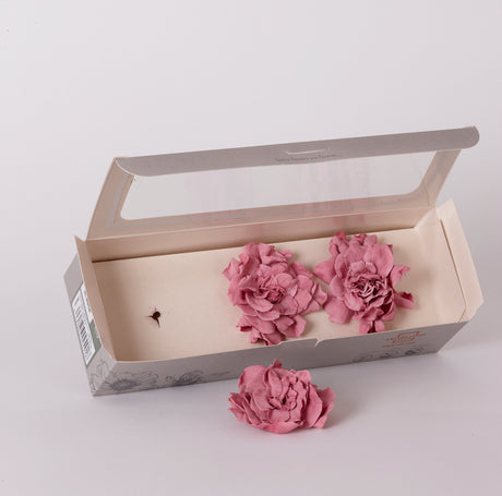 Gardenia Heads Preserved, Cherry Blossom, Box x 3