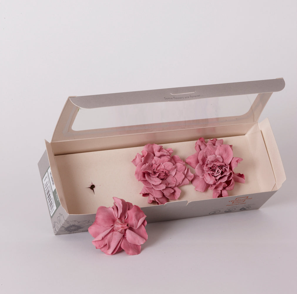 Gardenia Heads (Verdissimo), Preserved, Cherry Blossom, Box x 3