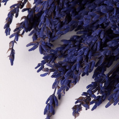 Lavender (Verdissimo), Preserved, Natural Blue, 130g