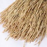 Rice, Dried, Natural, Bunch