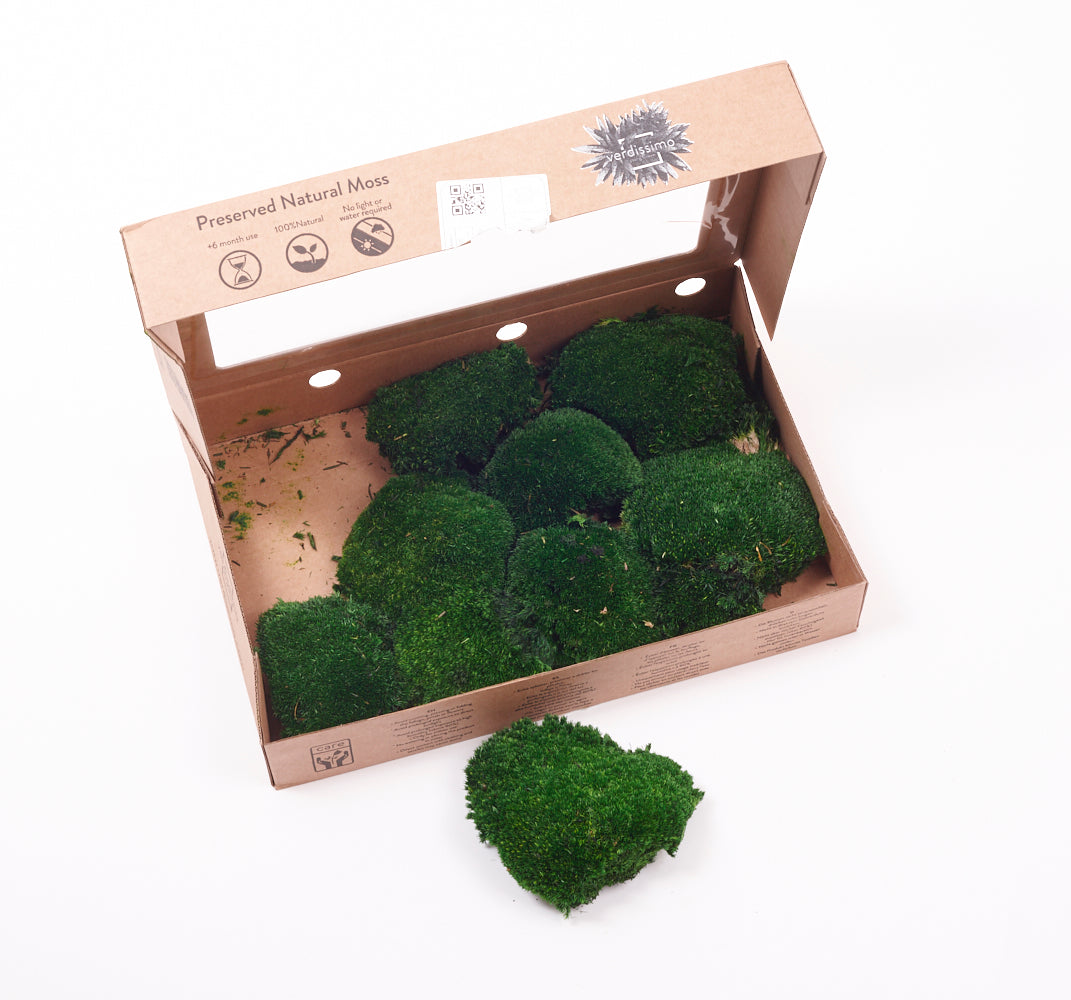 Ball Moss, Preserved, Dark Green, 250g Box