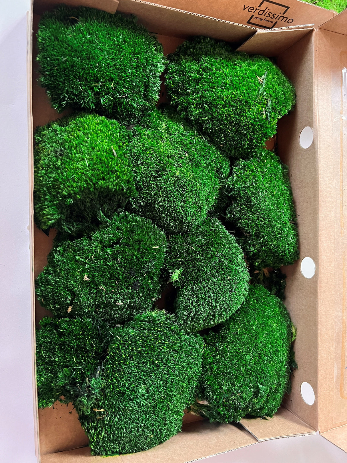 Ball Moss, Preserved, Dark Green, 250g Box