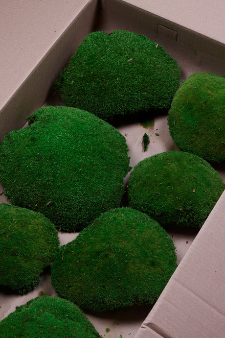 Ball Moss (Pole Moss) XL, Preserved, Green, 1.2kg Box