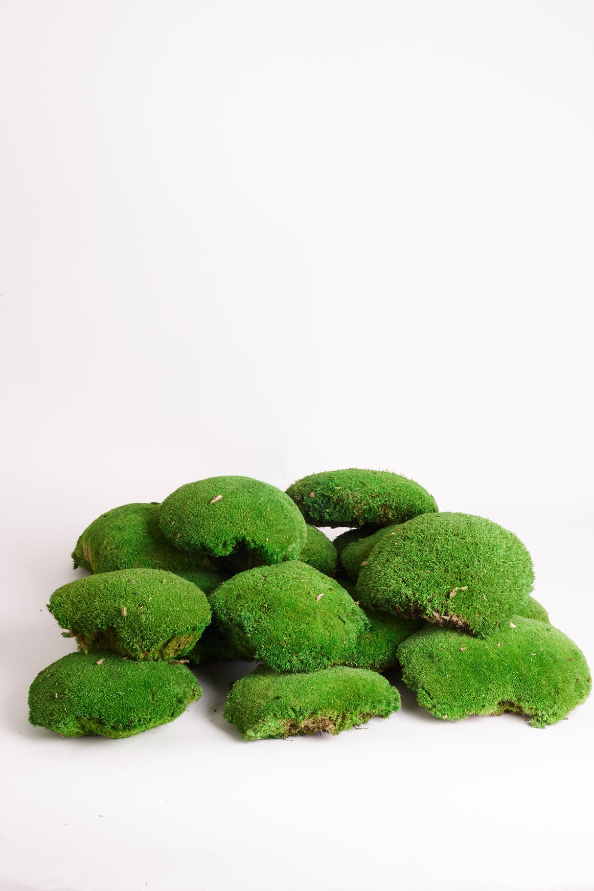 Ball Moss (Pole Moss) XL, Preserved, Green, 1.2kg Box