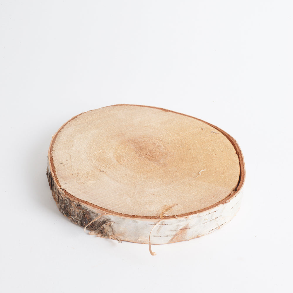 Silver Birch Slice, 19-22cm diameter, Each