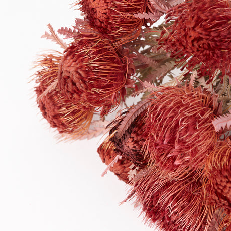 Banksia Dryandra, Dried, Dipped Erica, Bunch x 10 Stems