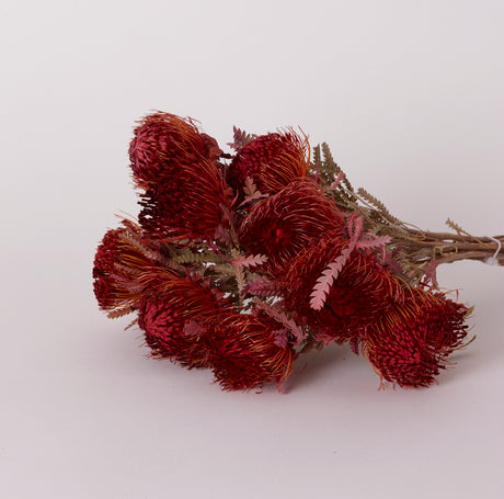 Banksia Dryandra, Dried, Dipped Erica, Bunch x 10 Stems