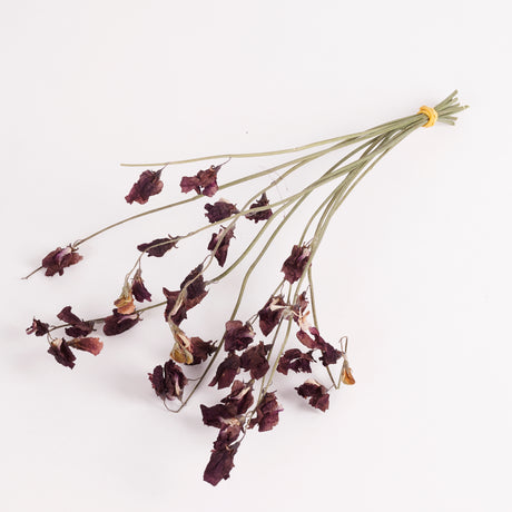 A bunch of Natural Dried British Sweet Peas.  organically grown and hand picked