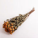 Dried Spray Roses Mariah, Yellow in colour.  Image shows a 10 stem Bunch