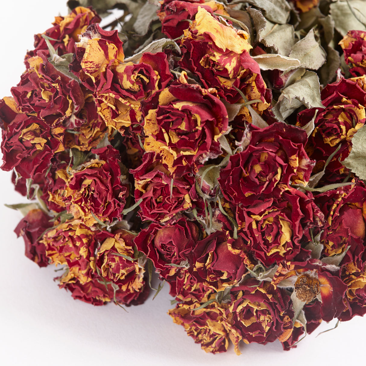 Roses, Spray, Dried, Fireflash, Natural Red-Yellow, Bunch 10 Stems