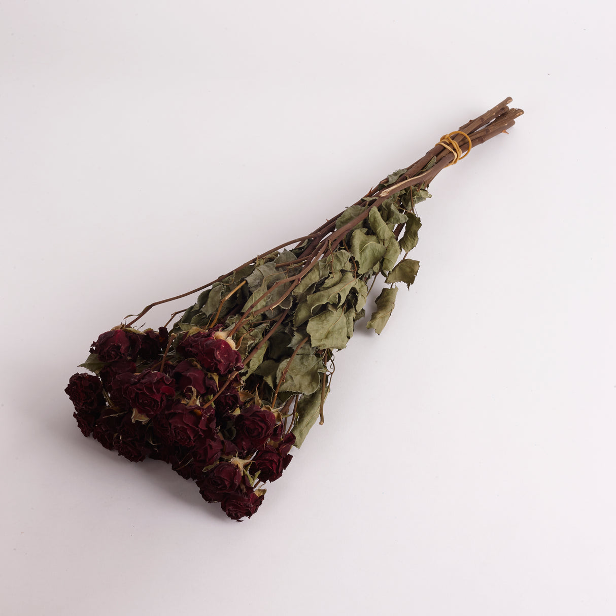 Dried Spray Rose Mirabel with Deep Red Flowers.  Image shows a bunch of 10 stems