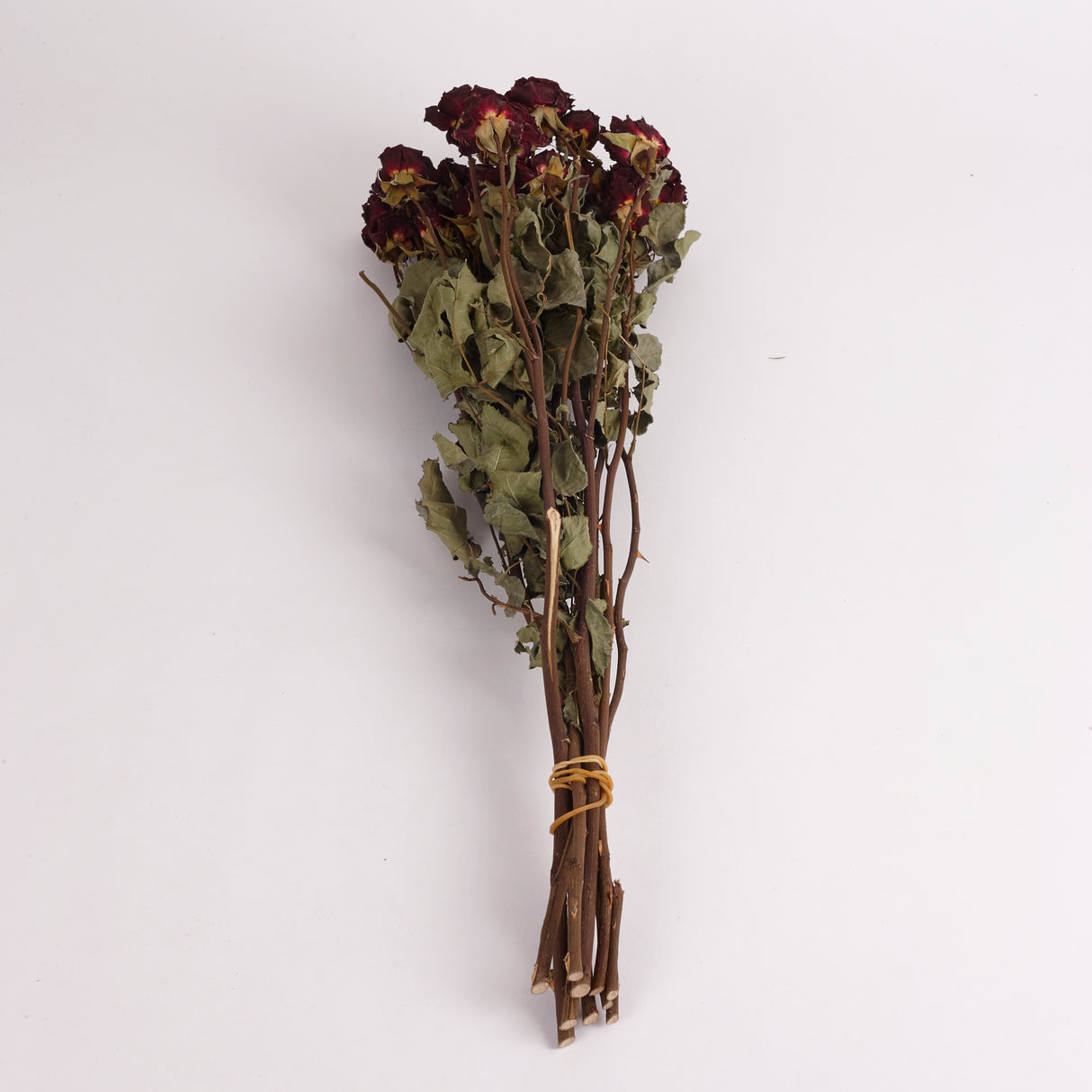 Roses, Spray, Dried, Mirabel, Natural Red, Bunch 10 Stems