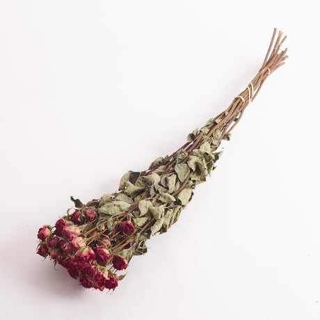 Dried Spray Roses Lianne, the flowers are fuchsia in colour.  Image shows 1 bunch of 10 stems.