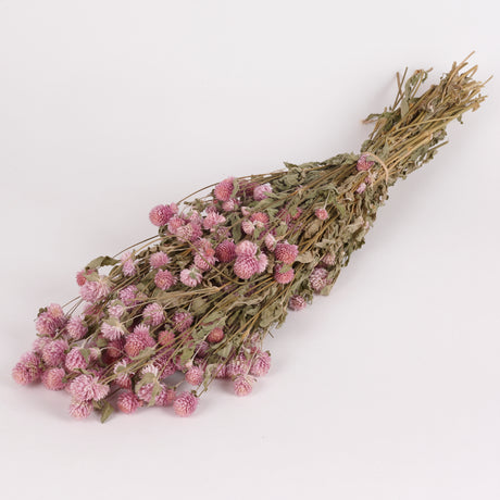 Image shows a bunch of Natural and Dried Clover with lots of pink flowers.  Gomphrena.