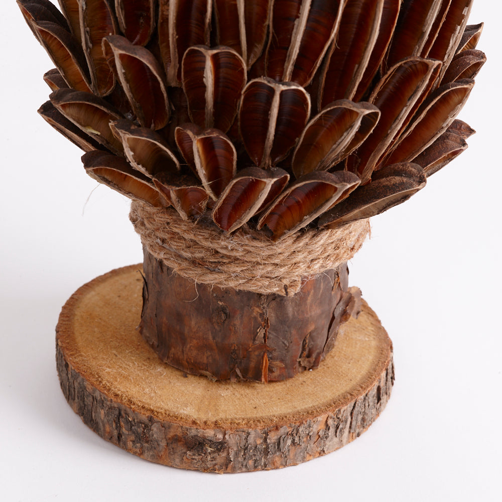 Cone Torch, Wood Base, Natural and Dried, 17 x 41cm