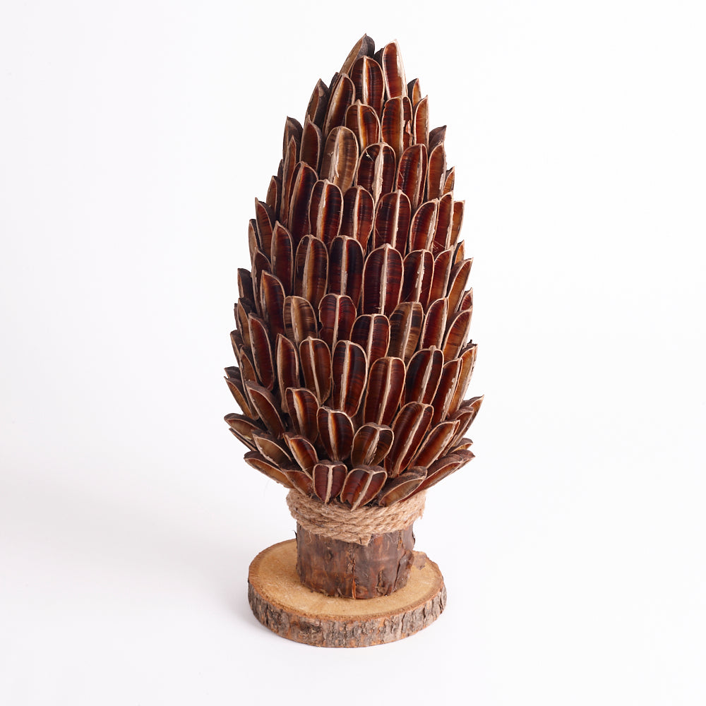 Cone Torch, Wood Base, Natural and Dried, 17 x 41cm