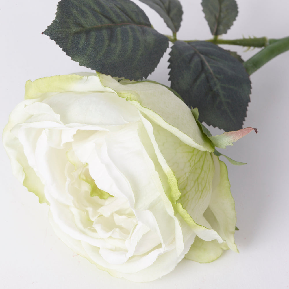 Rose, Little Joy, Artificial, White/Green, 30cm