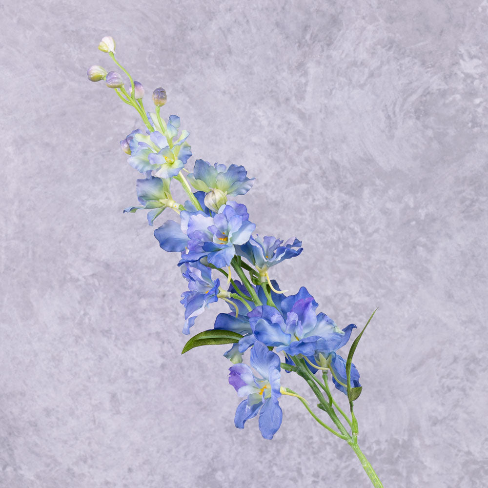 Delphinium Blue Larkspur Plants Vector Drawing Stock Vector (Royalty Free)  2342045521 | Shutterstock