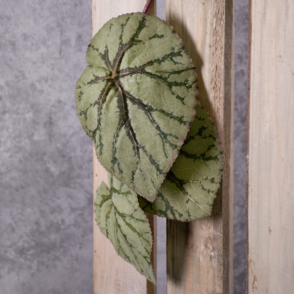 Faux Begonia Rex, Hanging Plant, Green, 111cm