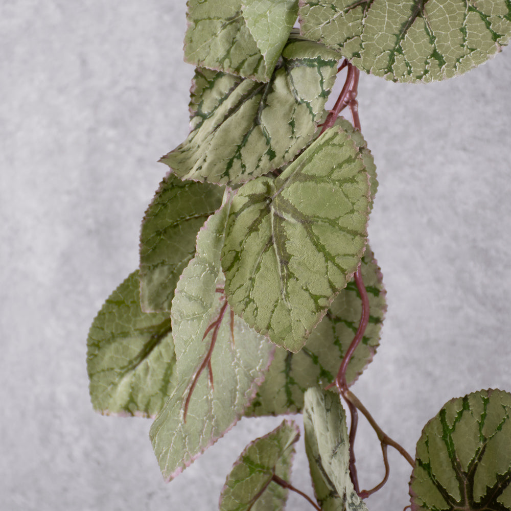 Faux Begonia Rex, Hanging Plant, Green, 111cm