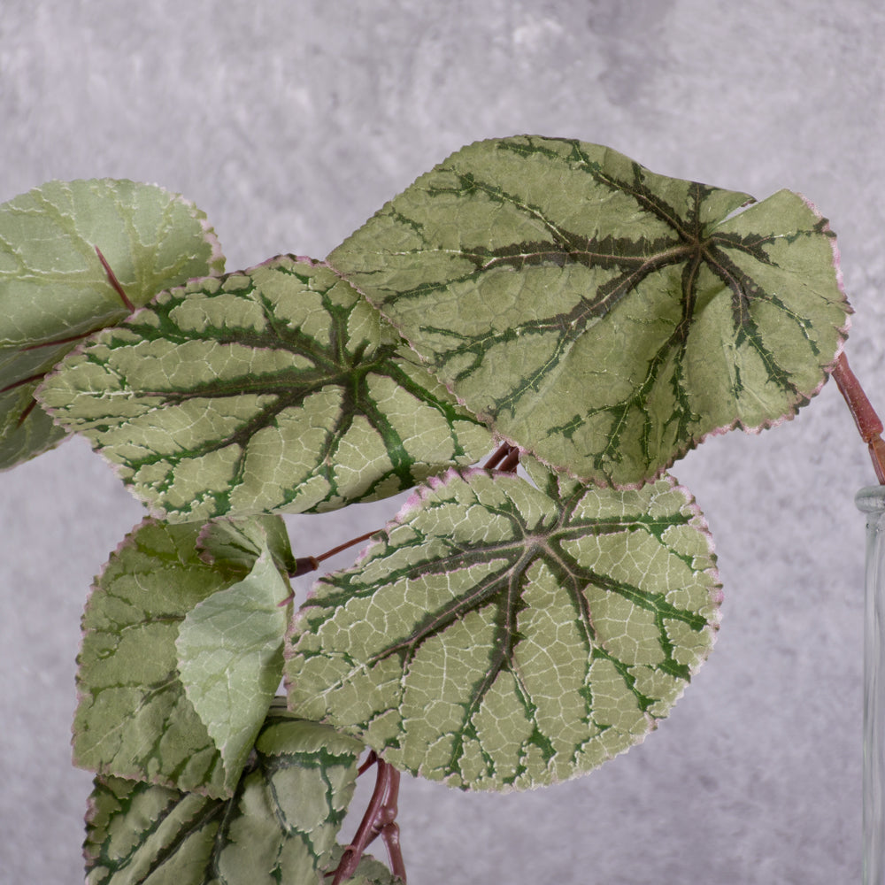 Faux Begonia Rex, Hanging Plant, Green, 111cm