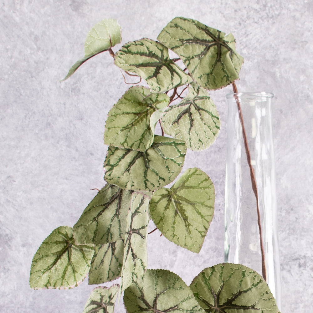 Faux Begonia Rex, Hanging Plant, Green, 111cm