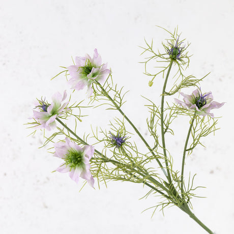 Nigella Spray, Lilac, 66cm