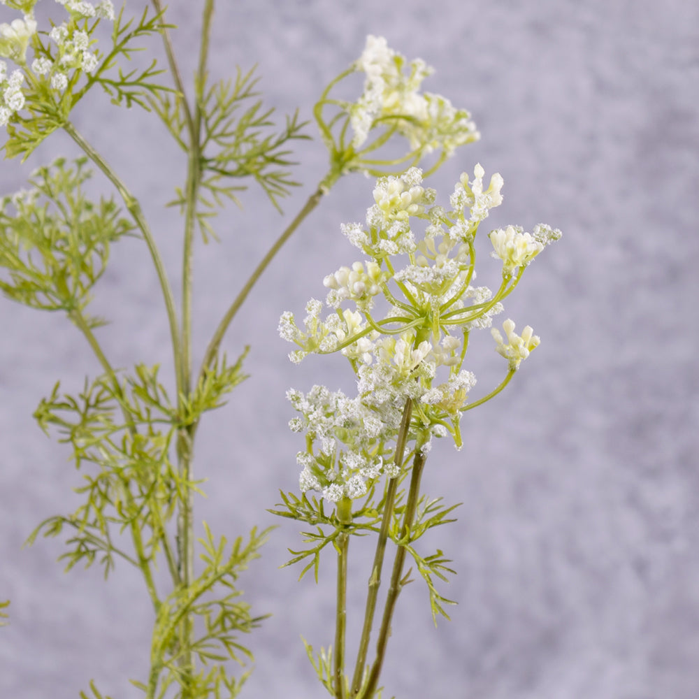 An artificial Dill, Anethum Graveolens, Spray, 78cm long, in close up detail