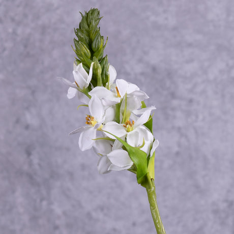 Artificial Ornithogalum (Star-of-Bethlehem), 50cm