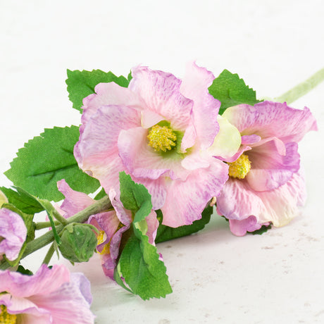 Hollyhock, Spring Dream, Lilac, 87cm