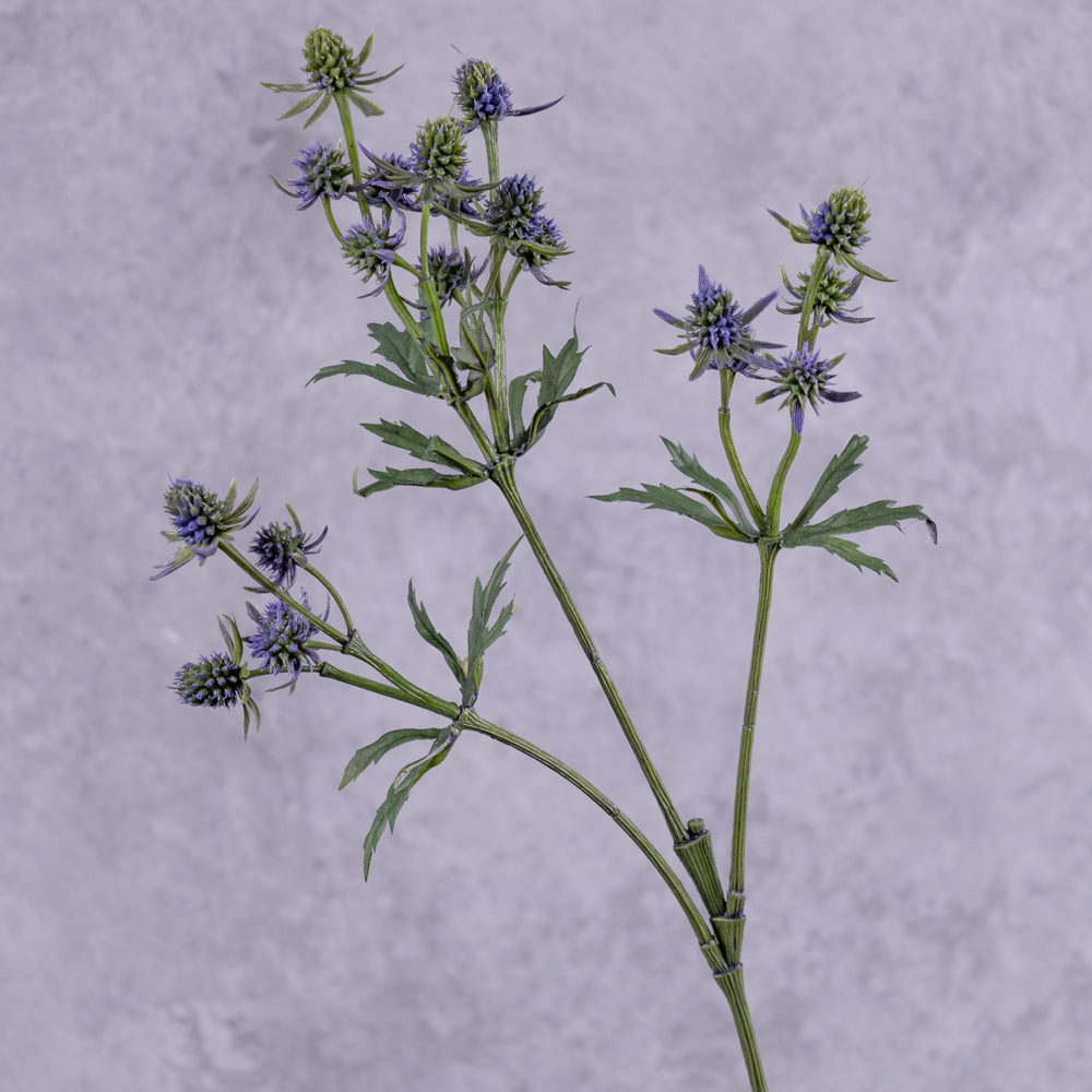 An artificial eryngium stem showing close up detail of the three main flower covered branchlets