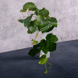 Tilia Cordata, Grape, Artificial, 50cm