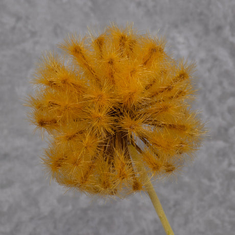 Dandelion Clock, Orange, 50cm