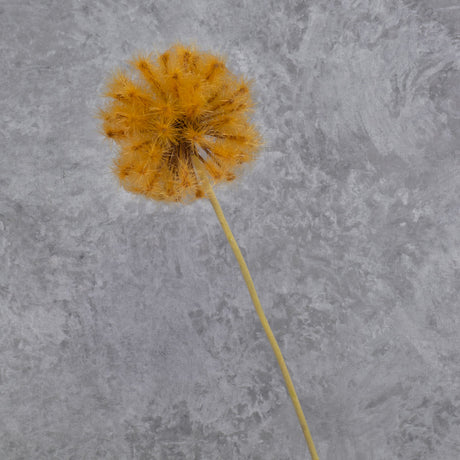 Dandelion Clock, Orange, 50cm