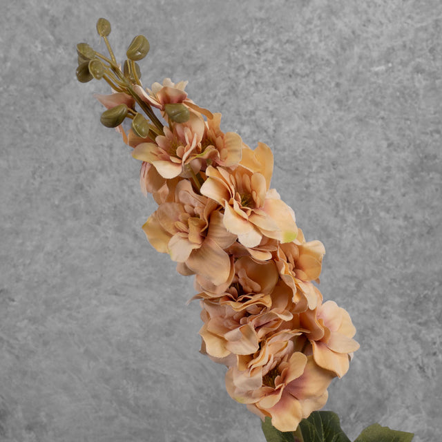 Larkspur, Peach, 86cm