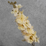 Larkspur, Cream, 86cm