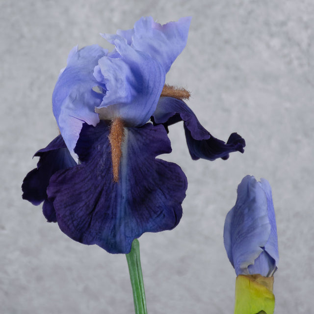 Iris Spray, De-Luxe, Blue/Lilac, 71cm