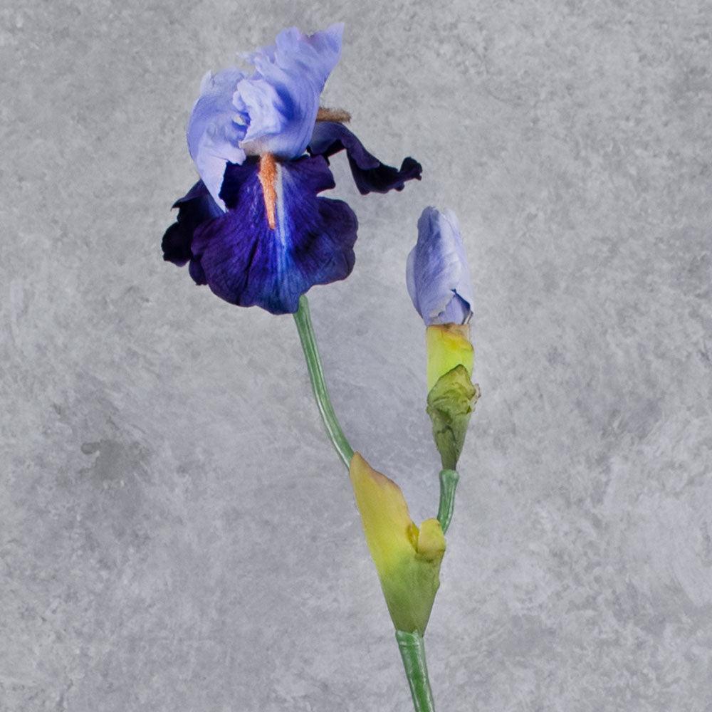 Iris Spray, De-Luxe, Blue/Lilac, 71cm