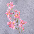 Orchid, (Renanthera coccinea), Pink, 77cm