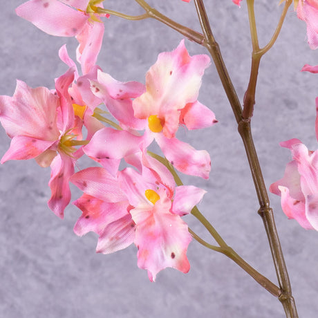 Orchid, (Renanthera coccinea), Pink, 77cm