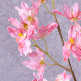 Orchid, (Renanthera coccinea), Pink, 77cm