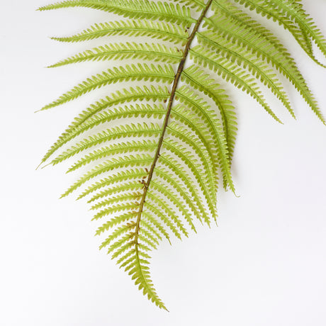 Fern Branch, Wood Fern (Dryopteris), Artificial, 109cm