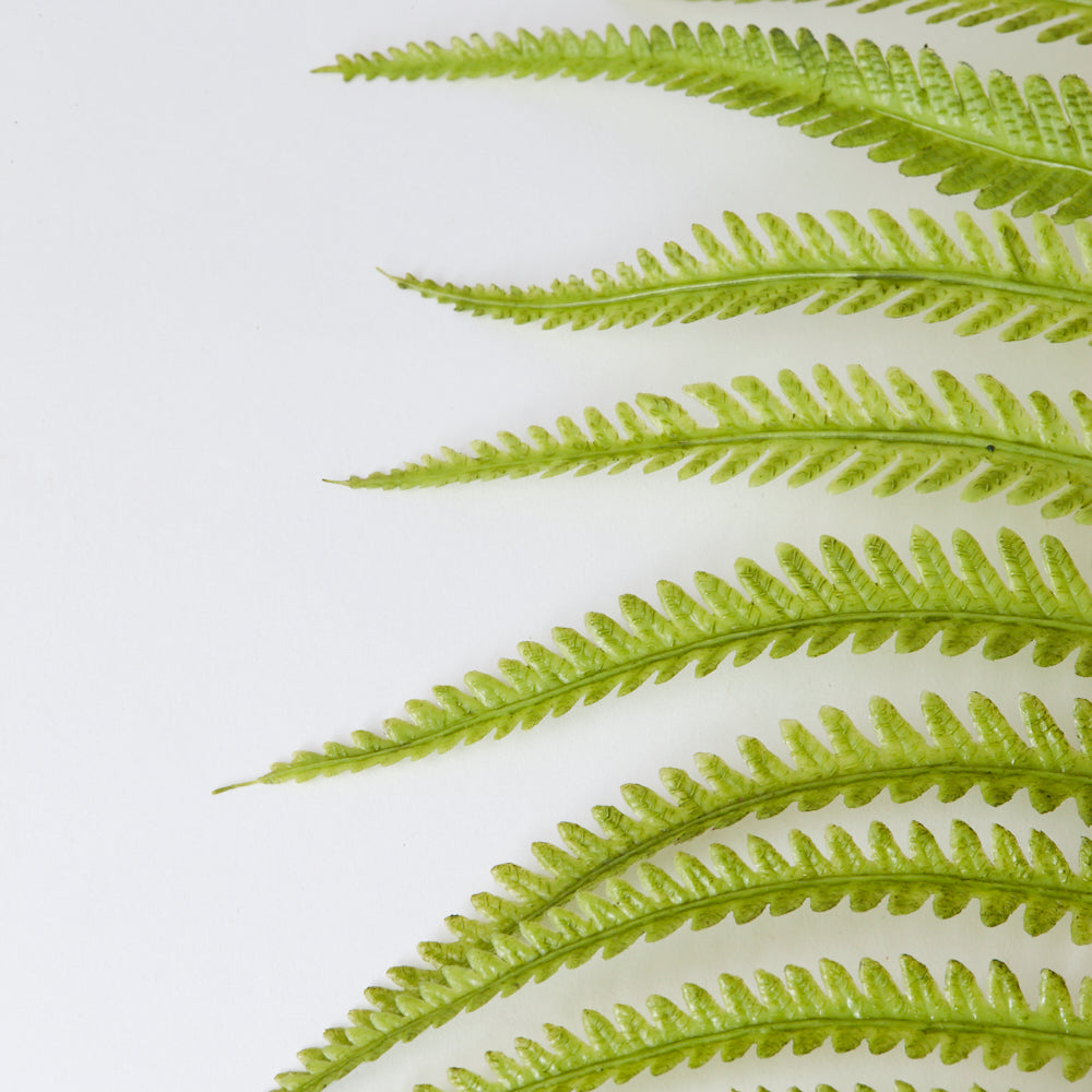 Fern Branch, Wood Fern (Dryopteris), Artificial, 109cm